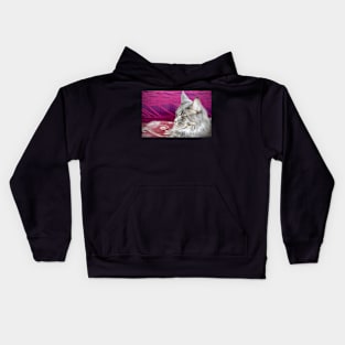 Maine Coon / Swiss Artwork Photography Kids Hoodie